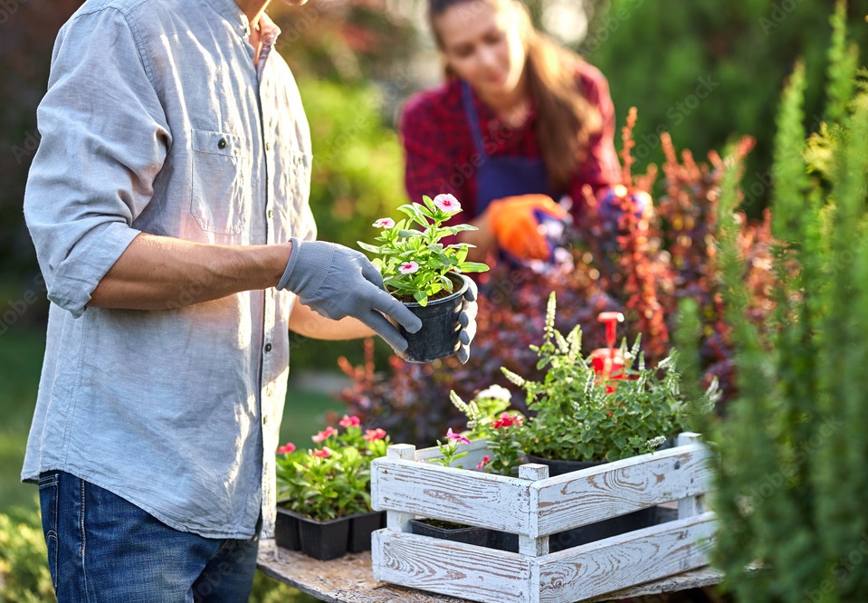 Gardening